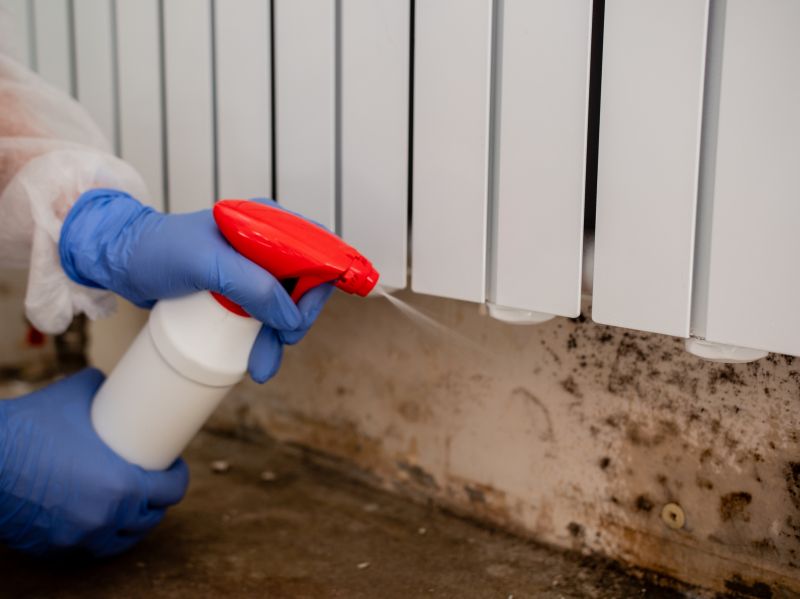 Mold Prevention Measures