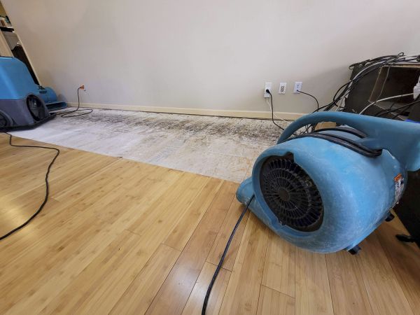 Cost of Water Damage Mitigation in Bethlehem