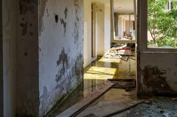 Cost of Water Removal Service in Bethlehem